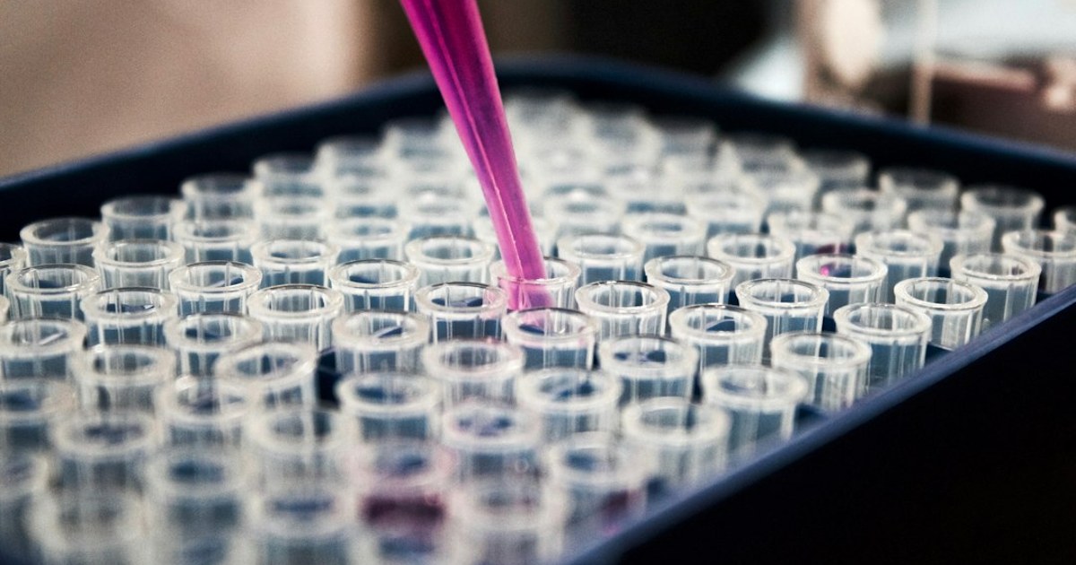 950 agentů za 21 hodin: Claude našel v bakteriofágech neznámý systém podobný CRISPR